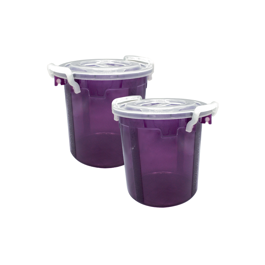 Handy Food Storage Container Medium Pack of 2 - (10Litre) Airtight Food Storage Container - BPA-Free Kitchen Organizer Box for Fresh Food & Pantry Storage - Red