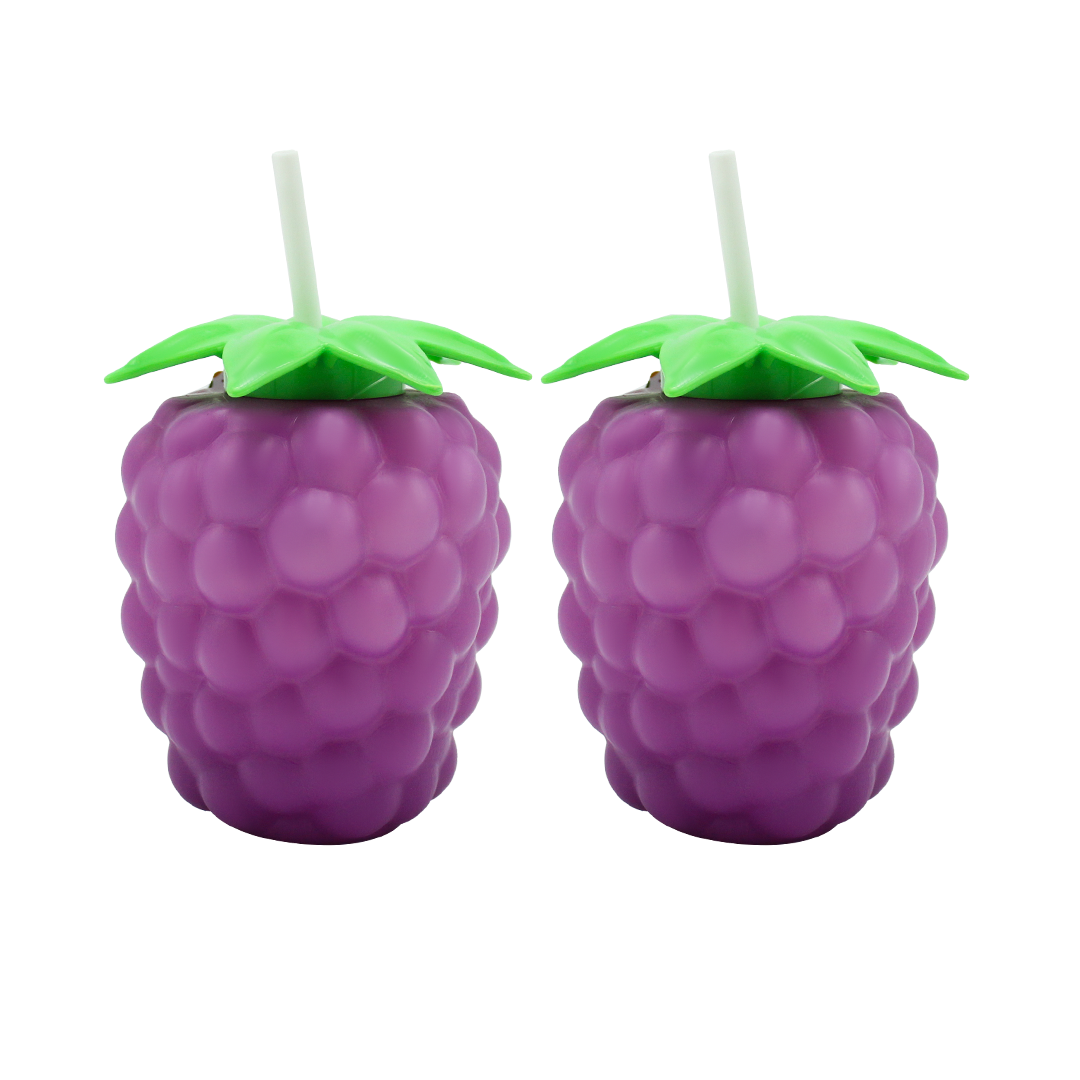 Tango Tumbler Pack of 2 Leak-Resistant Water Bottle - Portable BPA-Free Hydration Bottle for School, Gym & Daily Use - Grape